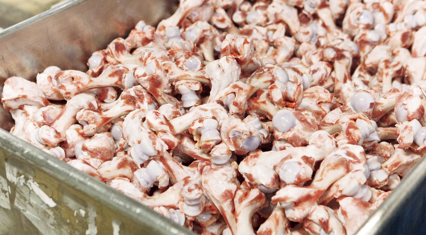Animalske biprodukter